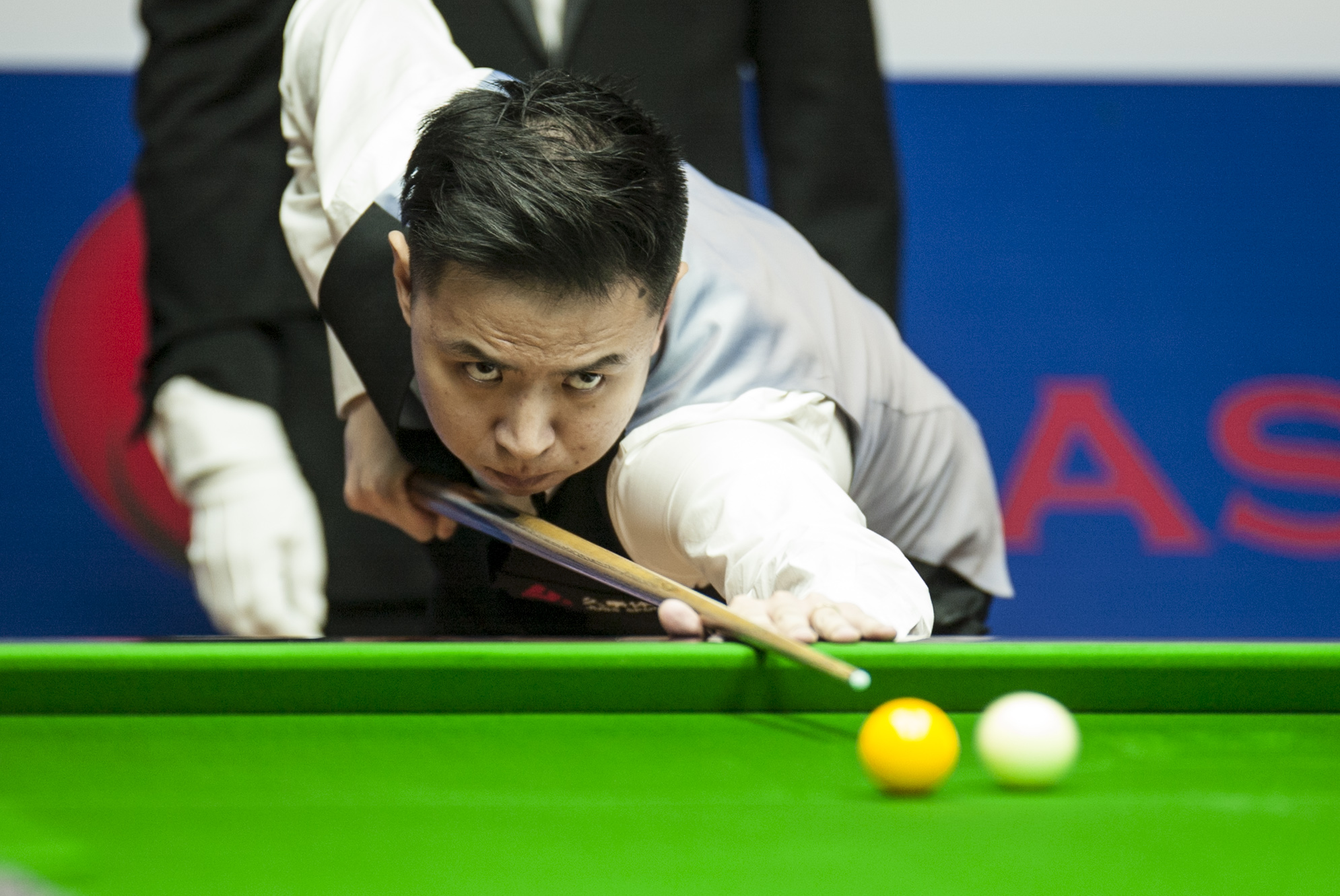 都能够发挥 都能够发挥